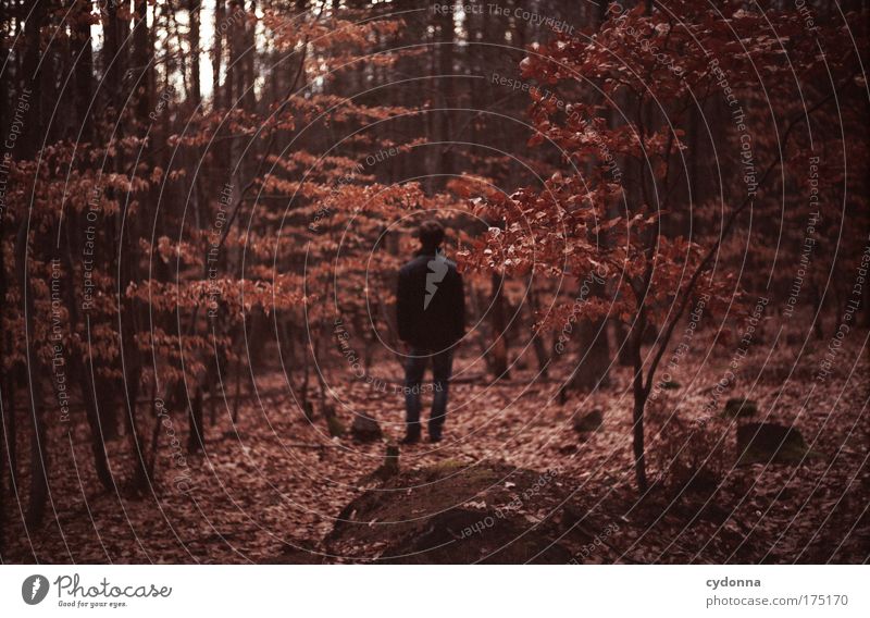 silence Colour photo Exterior shot Detail Day Shadow Contrast Shallow depth of field Central perspective Full-length Rear view Human being Man Adults