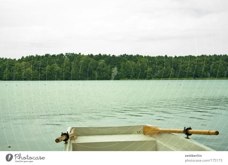 rowing boat Nature Trip Watercraft Relaxation Vacation & Travel Leisure and hobbies Sky Motor barge border Berlin Lake Summer Strausberg strausbergsee Coast