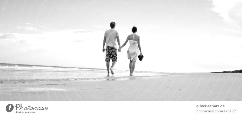 Beach walk Panorama Black & white photo Exterior shot Evening Sunlight Rear view Human being Couple Partner 2 Sky Sunrise Sunset Summer Beautiful weather