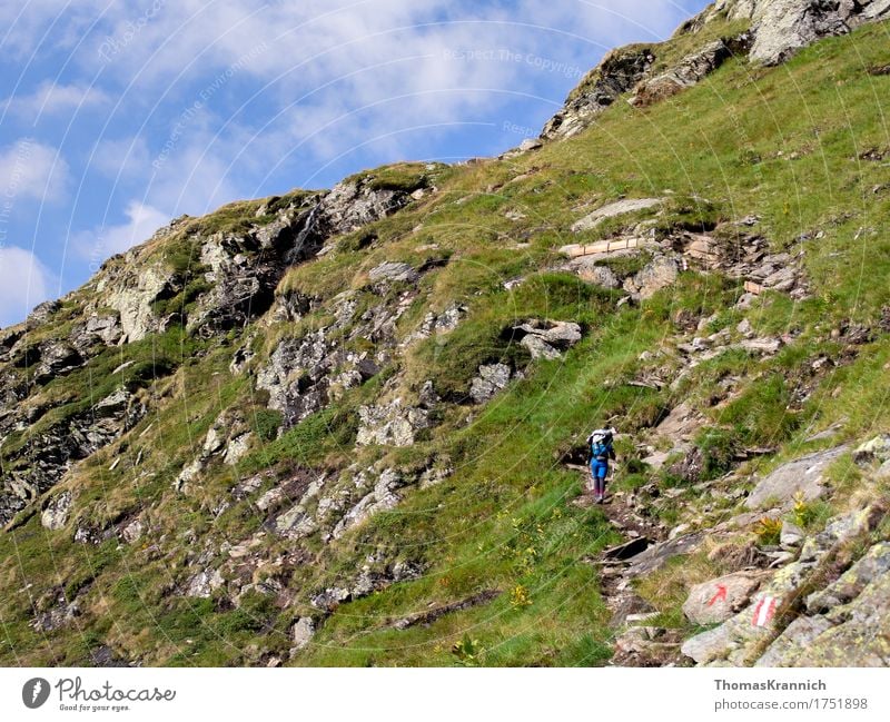 Up Sports Climbing Mountaineering Hiking Human being Feminine Young woman Youth (Young adults) Woman Adults 1 18 - 30 years Nature Landscape Sky Summer