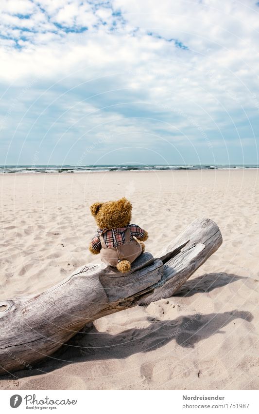 Stock photography .... Vacation & Travel Far-off places Freedom Summer vacation Sun Sunbathing Beach Ocean Island Waves Elements Sand Air Water Sky Clouds