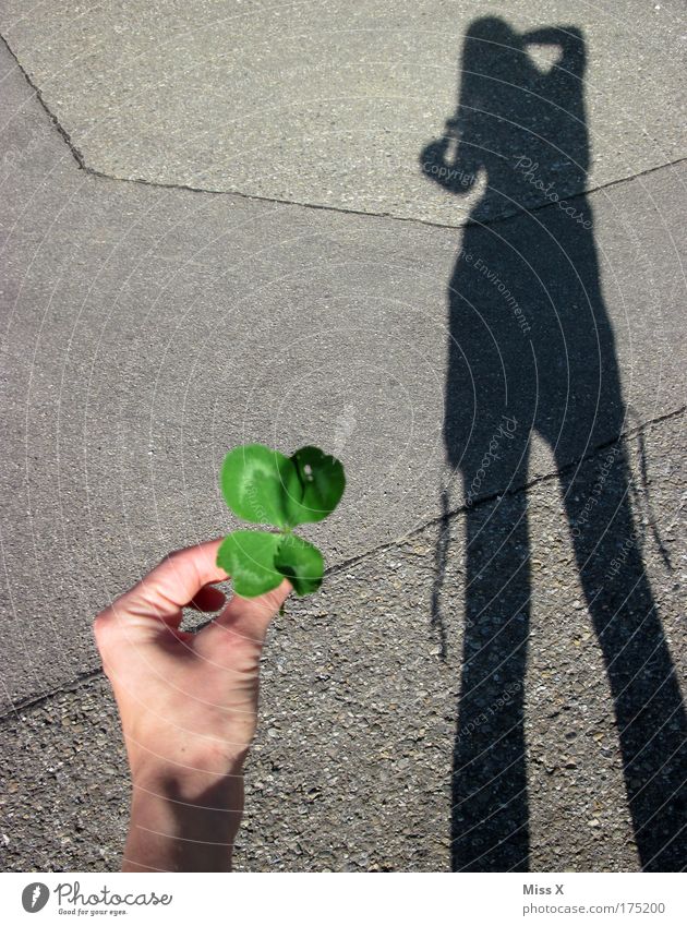 and what are you taking pictures of? SECOND Colour photo Exterior shot Detail Copy Space left Copy Space top Light Shadow Contrast Silhouette Sunlight