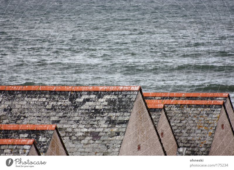 Protected roofs Subdued colour Exterior shot Copy Space top Day Port City Deserted House (Residential Structure) Detached house Manmade structures Building