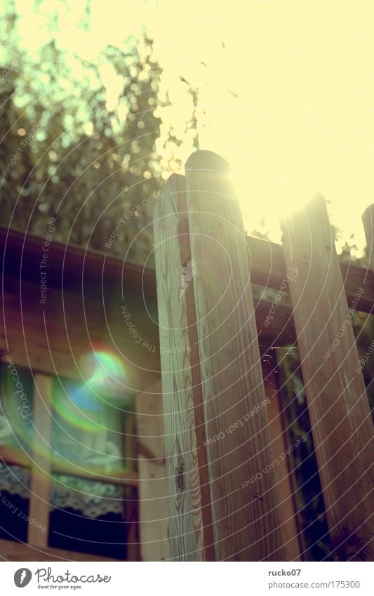 tree house Colour photo Exterior shot Detail Experimental Day Light Light (Natural Phenomenon) Sunlight Sunbeam Back-light Shallow depth of field