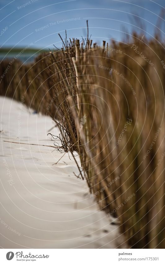 beach netting Colour photo Subdued colour Exterior shot Detail Structures and shapes Day Sunlight Blur Shallow depth of field Sand Cloudless sky Summer