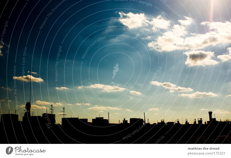 Sky over Berlin Colour photo Exterior shot Deserted Day Twilight Light Shadow Contrast Silhouette Reflection Light (Natural Phenomenon) Sunlight Sunbeam Sunrise