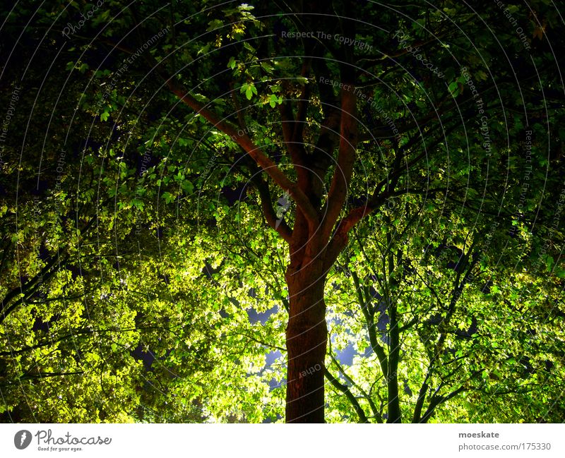 night mood Colour photo Exterior shot Pattern Structures and shapes Deserted Night Shadow Contrast Light (Natural Phenomenon) Long exposure Deep depth of field