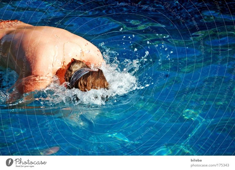 cool down Colour photo Exterior shot Close-up Copy Space right Copy Space bottom Day Reflection Blur Central perspective Downward Aquatics Human being Masculine