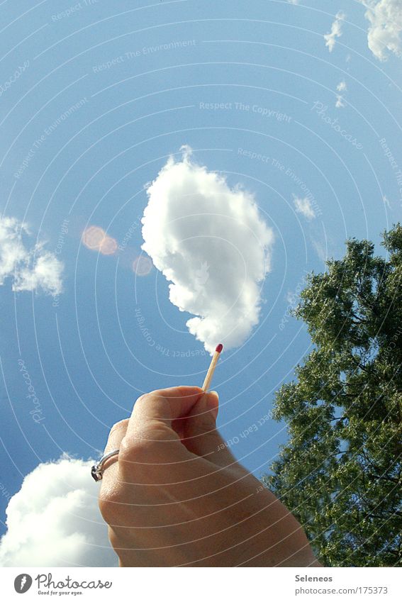 The air is on fire Colour photo Exterior shot Copy Space top Day Light Contrast Sunlight Human being Hand Fingers Environment Nature Sky Clouds Weather