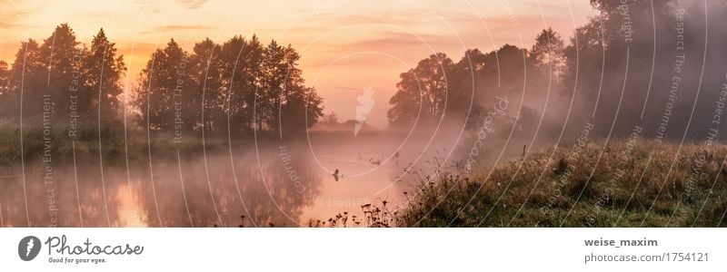 Foggy river in the morning Vacation & Travel Summer Wallpaper Nature Landscape Sky Sunrise Sunset Autumn Tree Forest Lake River Fresh Green White water panorama