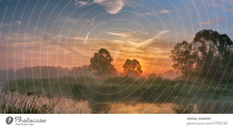 Foggy river in the morning Vacation & Travel Summer Beach Wallpaper Nature Landscape Sky Clouds Autumn Beautiful weather Tree Forest River Fresh Green White