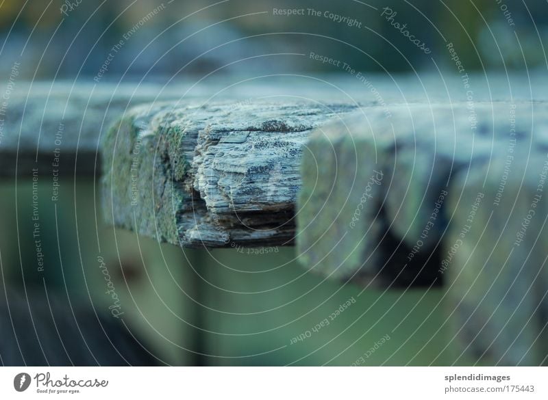 Old beam Colour photo Subdued colour Exterior shot Macro (Extreme close-up) Shallow depth of field Nature Wood Wet Transience Change Cold Joist Wooden board