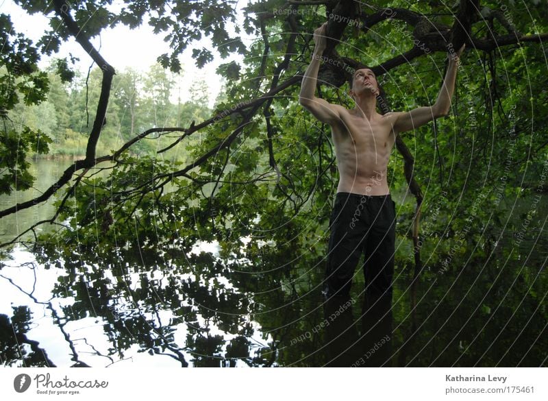 viewing window Colour photo Exterior shot Copy Space left Reflection Central perspective Upward Looking away Personal hygiene Life Swimming & Bathing Adventure