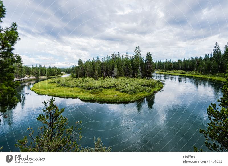 unexpected turn Nature Landscape Plant Water Clouds Tree Forest River bank Natural USA Oregon National Park river loop Turning point Dramatic art Relaxation