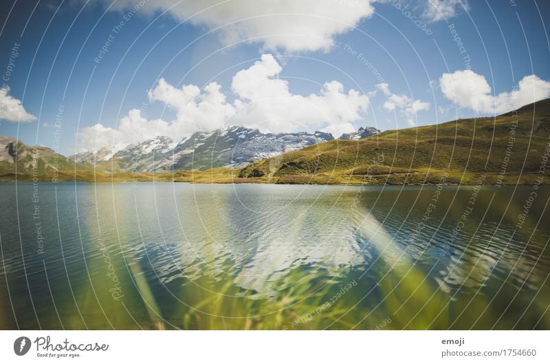 in the mountains Environment Nature Landscape Sky Summer Beautiful weather Alps Mountain Lake Sustainability Natural Blue Green Switzerland Mountain lake