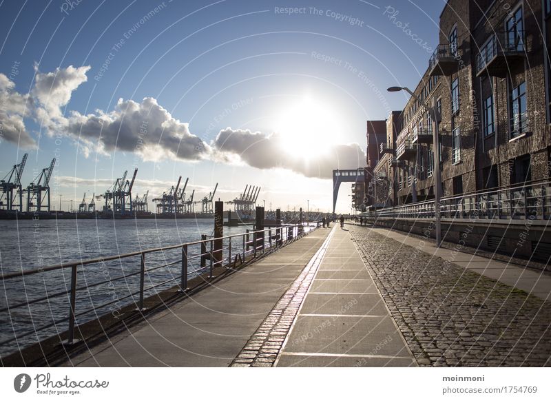 Sunday stroll Environment Sky Sunlight Spring Beautiful weather Coast River bank Altona Germany Town Port City Industrial plant Factory Harbour Pedestrian