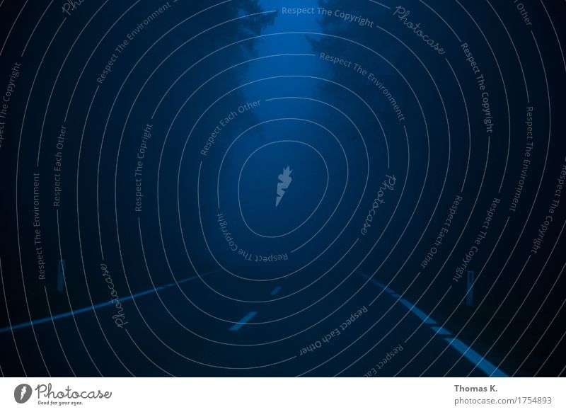 Night & Fog Tree Transport Motoring Street Car Dark Fear Forest Driving Grief Threat Lanes & trails Night journey Signs and labeling Loneliness be afraid