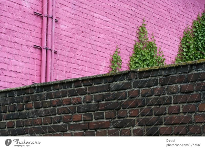 fun house Colour photo Exterior shot Structures and shapes Deserted Copy Space left Copy Space top Copy Space bottom Dream house Factory Manmade structures