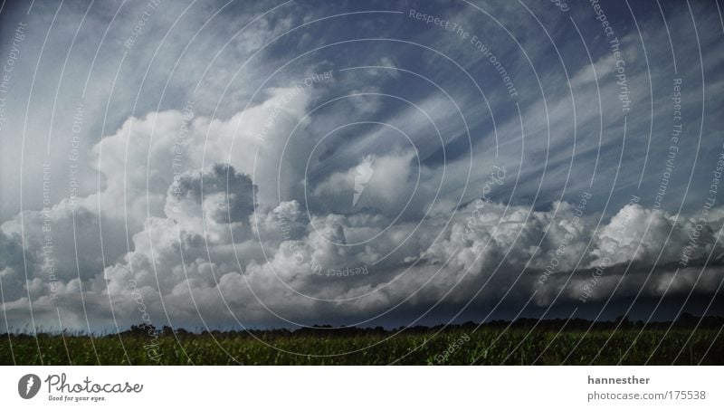 There'll be rain Colour photo Exterior shot Deserted Copy Space top Copy Space bottom Day Contrast Sunlight Landscape Sky Clouds Storm clouds Summer Weather