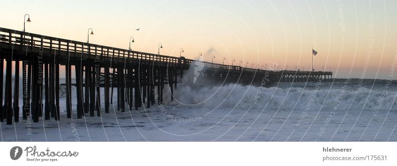 Ocean Wave Storm Pier Colour photo Exterior shot Deserted Morning Sunrise Sunset Motion blur Nature Weather Bad weather Gale Coast Beach Pacific Ocean