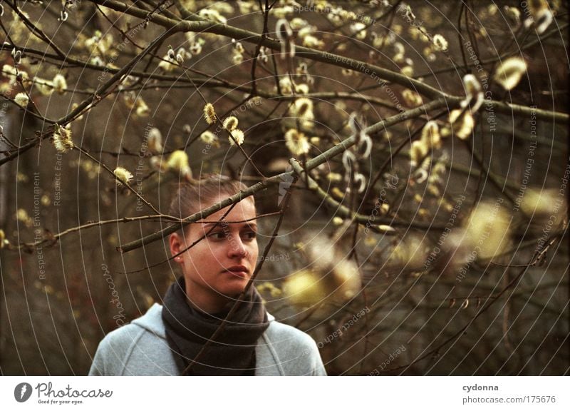 spring Colour photo Exterior shot Close-up Copy Space right Copy Space top Day Shadow Contrast Sunlight Deep depth of field Long shot Portrait photograph