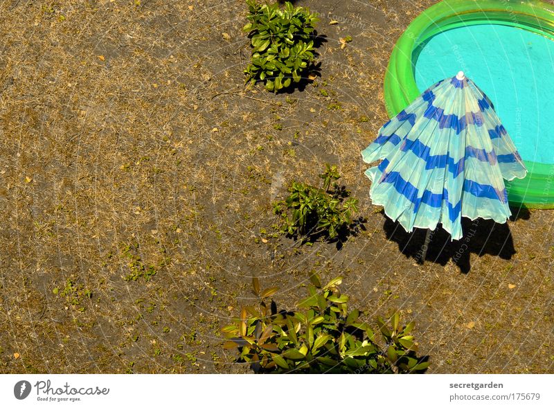 sunbathing. Colour photo Multicoloured Exterior shot Aerial photograph Deserted Copy Space right Copy Space top Copy Space bottom Copy Space middle Day Shadow