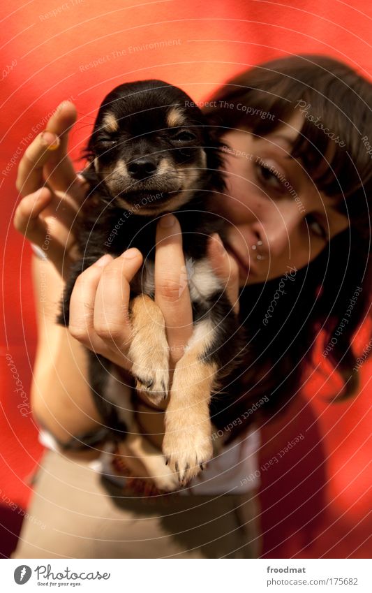 findelkind ;) Colour photo Multicoloured Exterior shot Day Shallow depth of field Wide angle Portrait photograph Animal portrait Looking into the camera