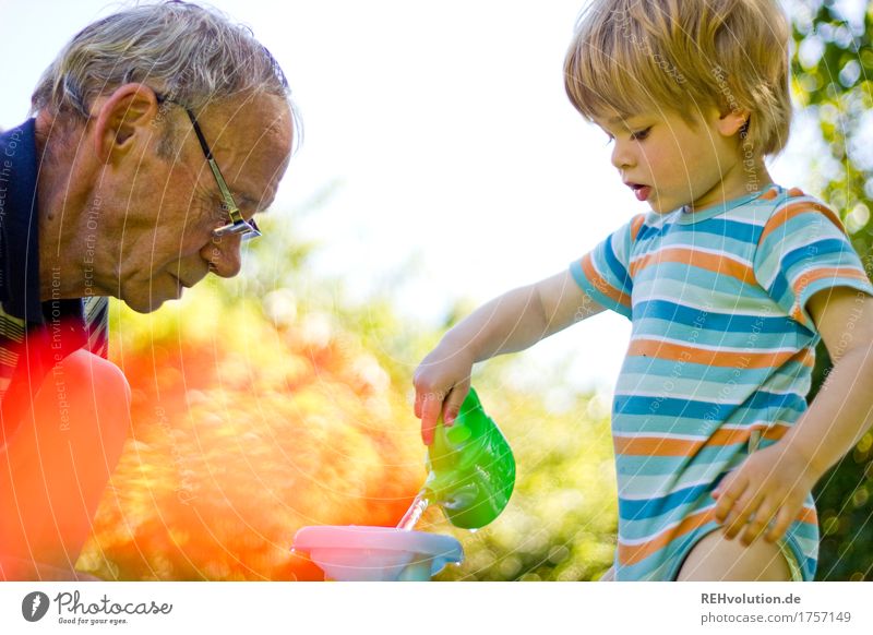 Grandpa with grandchild in the garden Human being Masculine Child Toddler Boy (child) Man Adults Male senior Grandfather Family & Relations Infancy