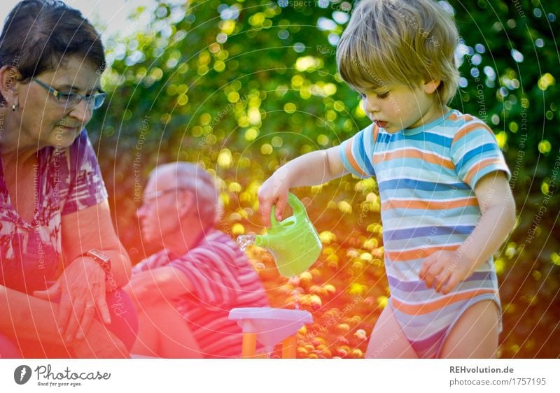 Next love, grandma & grandpa. Human being Masculine Feminine Child Toddler Boy (child) Grandfather Grandmother Family & Relations Infancy 3 1 - 3 years