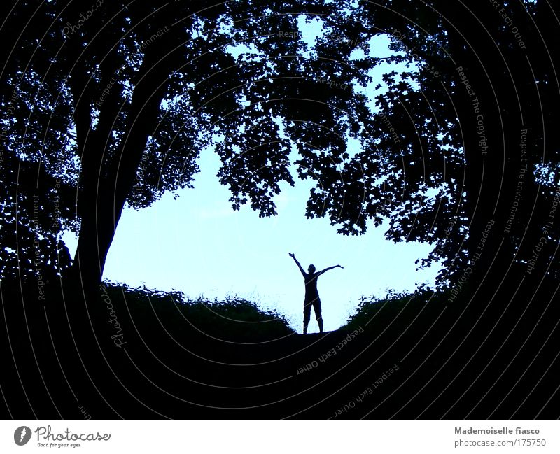 Silhouette in the forest against a light background Summer Hiking 1 Human being Landscape Sky Beautiful weather Tree Bushes Forest Movement Far-off places Blue