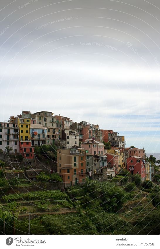 corniglia Colour photo Multicoloured Exterior shot Deserted Copy Space top Copy Space bottom Day Light Central perspective Long shot Panorama (View) Wide angle