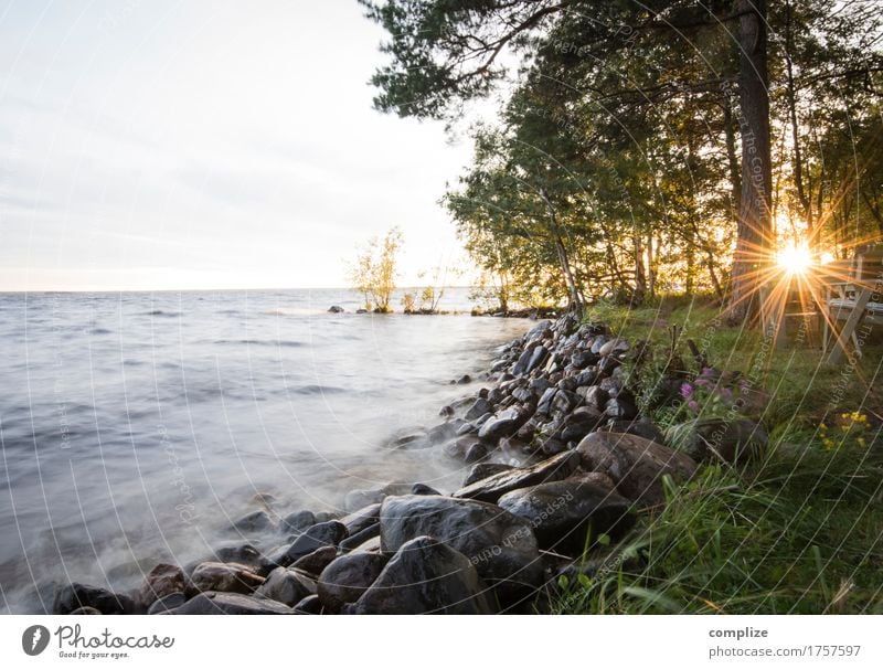 lappajärvi Vacation & Travel Freedom Summer Summer vacation Sun Sunbathing Beach Island Waves Environment Nature Sky Sunrise Sunset Beautiful weather Plant Tree