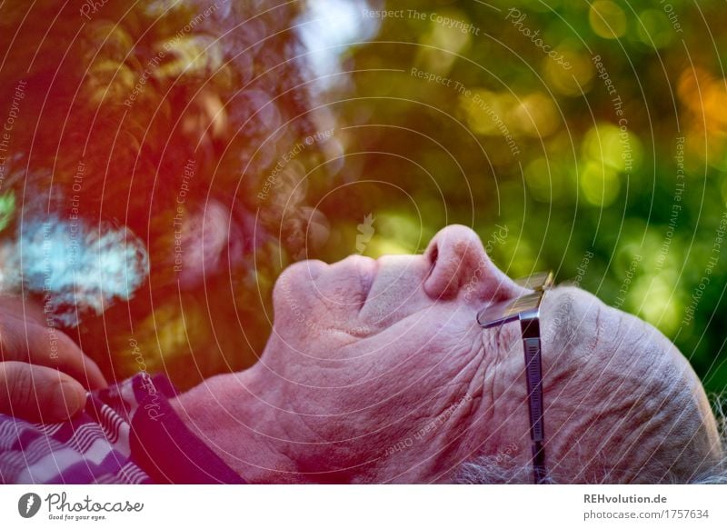 retirement happiness Human being Masculine Man Adults Male senior Grandfather Head Face 1 60 years and older Senior citizen Environment Nature Garden Relaxation