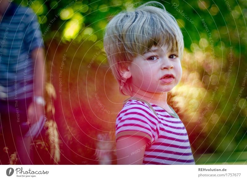 summer portrait Human being Masculine Child Toddler Boy (child) Face 1 1 - 3 years Environment Nature Summer Plant Bushes Garden T-shirt Hair and hairstyles