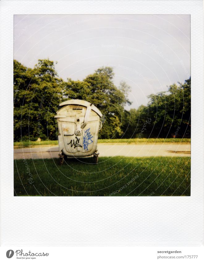 trashy polaroid. Colour photo Multicoloured Exterior shot Polaroid Deserted Copy Space right Copy Space top Copy Space bottom Day Evening Twilight Shadow