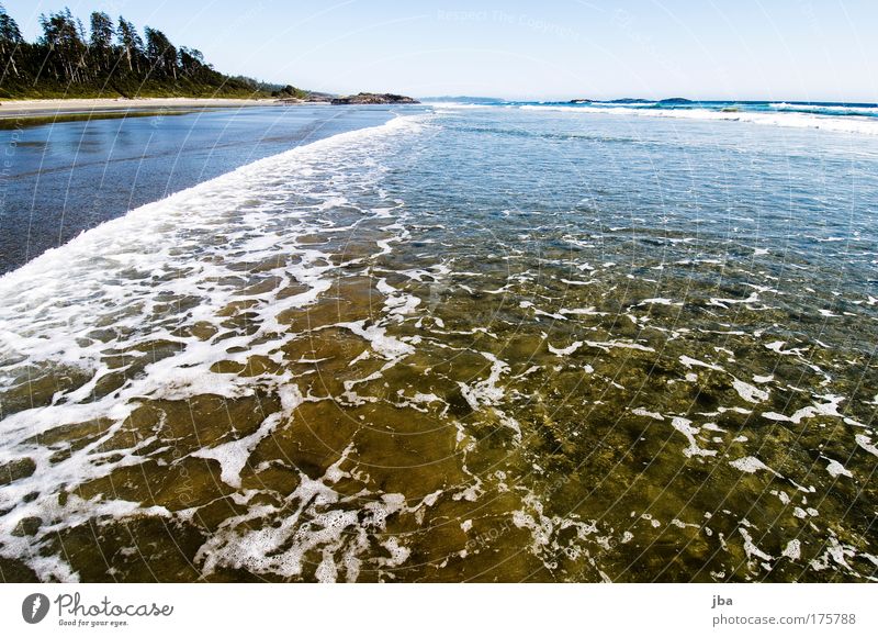 diving paradise? Colour photo Exterior shot Deserted Copy Space right Copy Space bottom Copy Space middle Day Contrast Deep depth of field Wide angle Joy