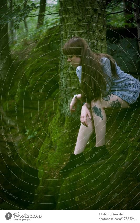 Carina on the quarry face. Human being Feminine Young woman Youth (Young adults) Legs 1 18 - 30 years Adults Environment Nature Summer Tree Moss Forest Rock