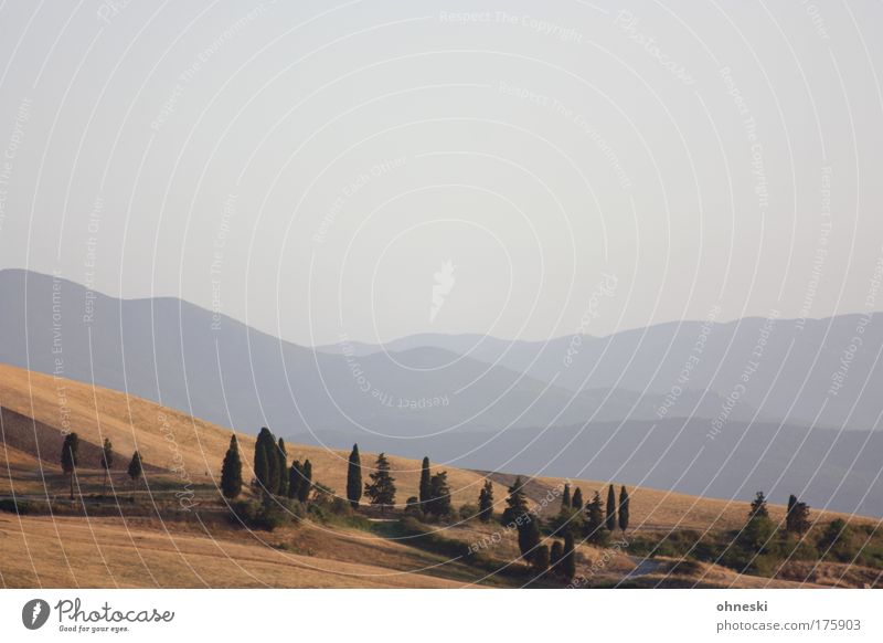 Tuscany Subdued colour Exterior shot Deserted Evening Panorama (View) Nature Landscape Plant Sky Horizon Tree Field Hill Mountain Volterra Italy Relaxation