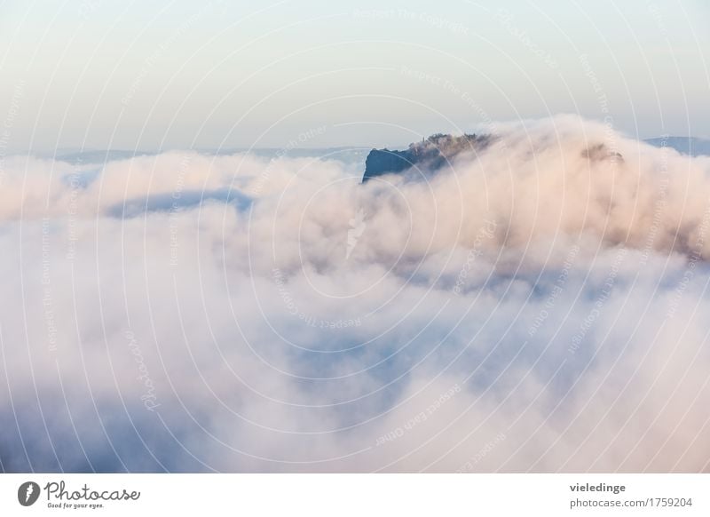 Lilienstein in a sea of fog at sunrise Vacation & Travel Tourism Mountain Hiking Nature Landscape Cloudless sky Sunrise Sunset Autumn Beautiful weather Fog Rock