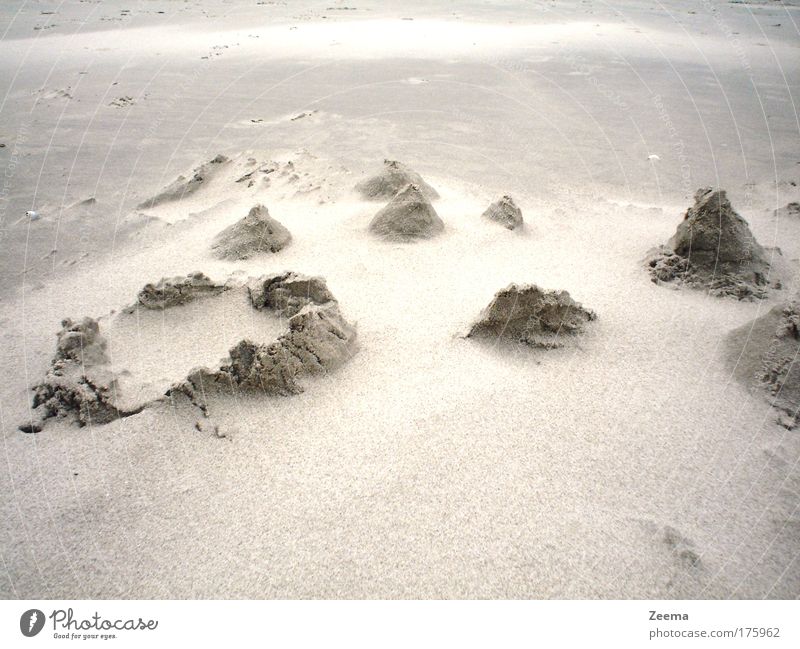 Desert? Subdued colour Exterior shot Deserted Day Nature Landscape Sand Beach Moody