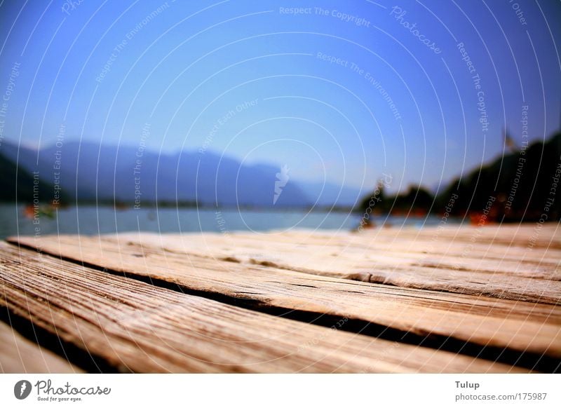 jetty at the lake Colour photo Exterior shot Copy Space top Day Sunlight Shallow depth of field Worm's-eye view Well-being Relaxation Vacation & Travel Summer