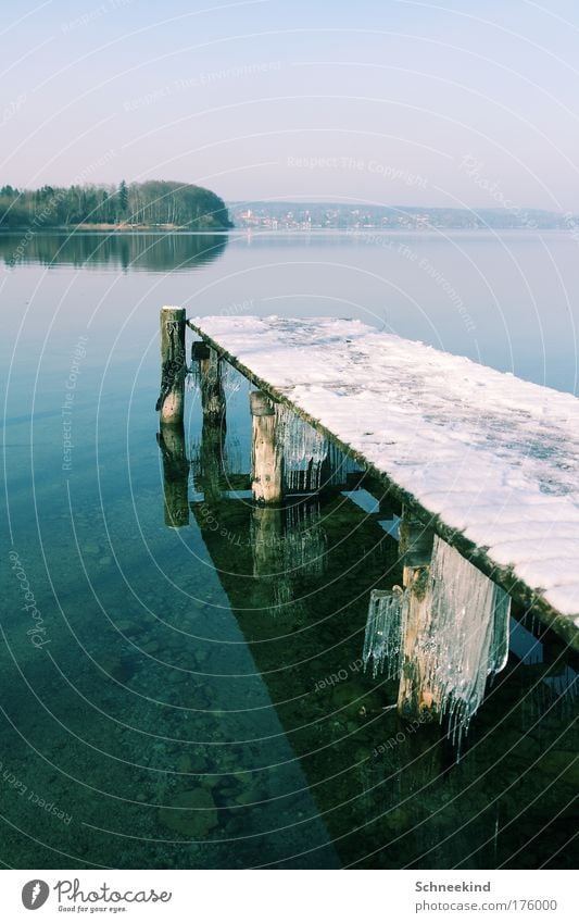 Idyll at the cold lake Colour photo Exterior shot Deserted Copy Space left Copy Space top Copy Space bottom Day Light Shadow Reflection Deep depth of field