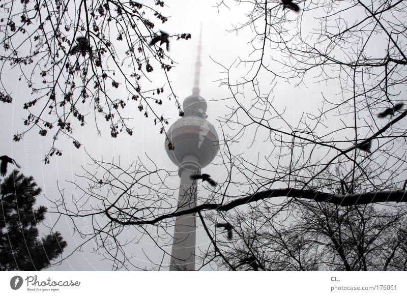 november Nature Landscape Sky Clouds Autumn Bad weather Fog Snow Capital city Tower Building Tourist Attraction Landmark Longing Wanderlust Berlin Germany