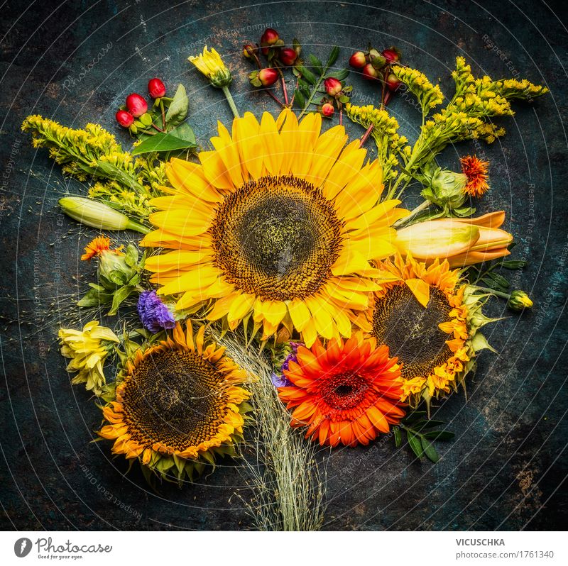 Sunflower bundles with autumnal flowers Style Design Life Summer Nature Plant Autumn Flower Leaf Blossom Decoration Bouquet Yellow Composing Rustic Beautiful