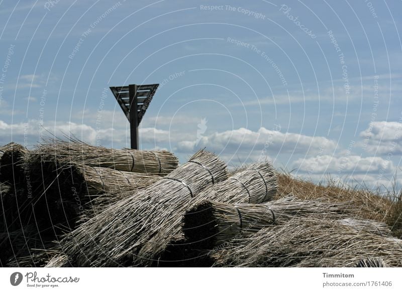 They're straw like hay. Nature Sky Clouds Beautiful weather Denmark Straw Roll of straw Navigation mark Lie Heap Blue sky Muddled Colour photo Exterior shot