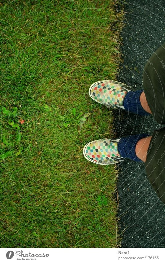 lawn edge Footwear Checkered Lawn Border Boundary Feet Multicoloured Green Bird's-eye view Chucks Shorts Copy Space left Copy Space top Copy Space bottom