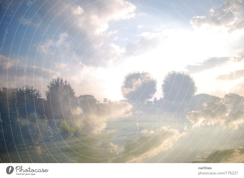 lucy in the sky with diamonds Experimental Light Light (Natural Phenomenon) Back-light Long exposure Wide angle Intoxicant Calm Freedom Clouds Climate Tree