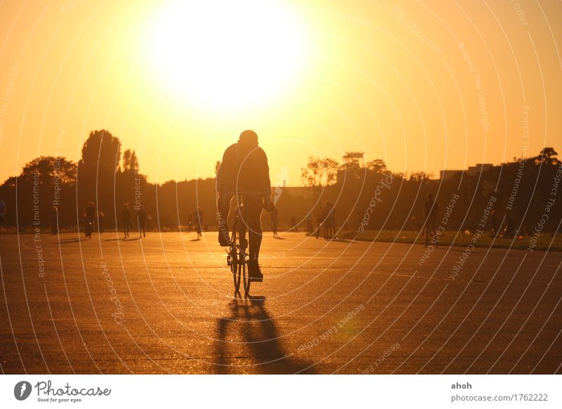 Tempelhofer Field #6 Lifestyle Joy Leisure and hobbies Freedom Summer Sun Cycling Closing time Nature Landscape Sunrise Sunset Sunlight Beautiful weather Park