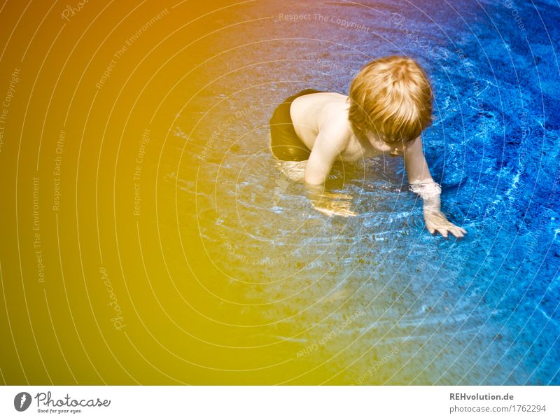 in the open air Swimming & Bathing Swimming pool Human being Masculine Child Toddler Boy (child) Infancy 1 1 - 3 years Movement Discover To enjoy Playing