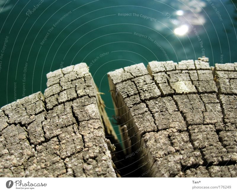 barrier Colour photo Exterior shot Close-up Detail Structures and shapes Light Shadow Reflection Water Sunlight Coast Harbour Mirror Wood Old Glittering Broken